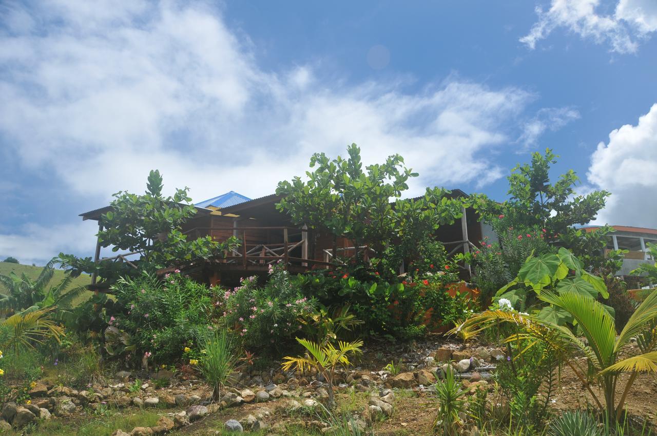 Mango Island Lodges Saint Joseph エクステリア 写真