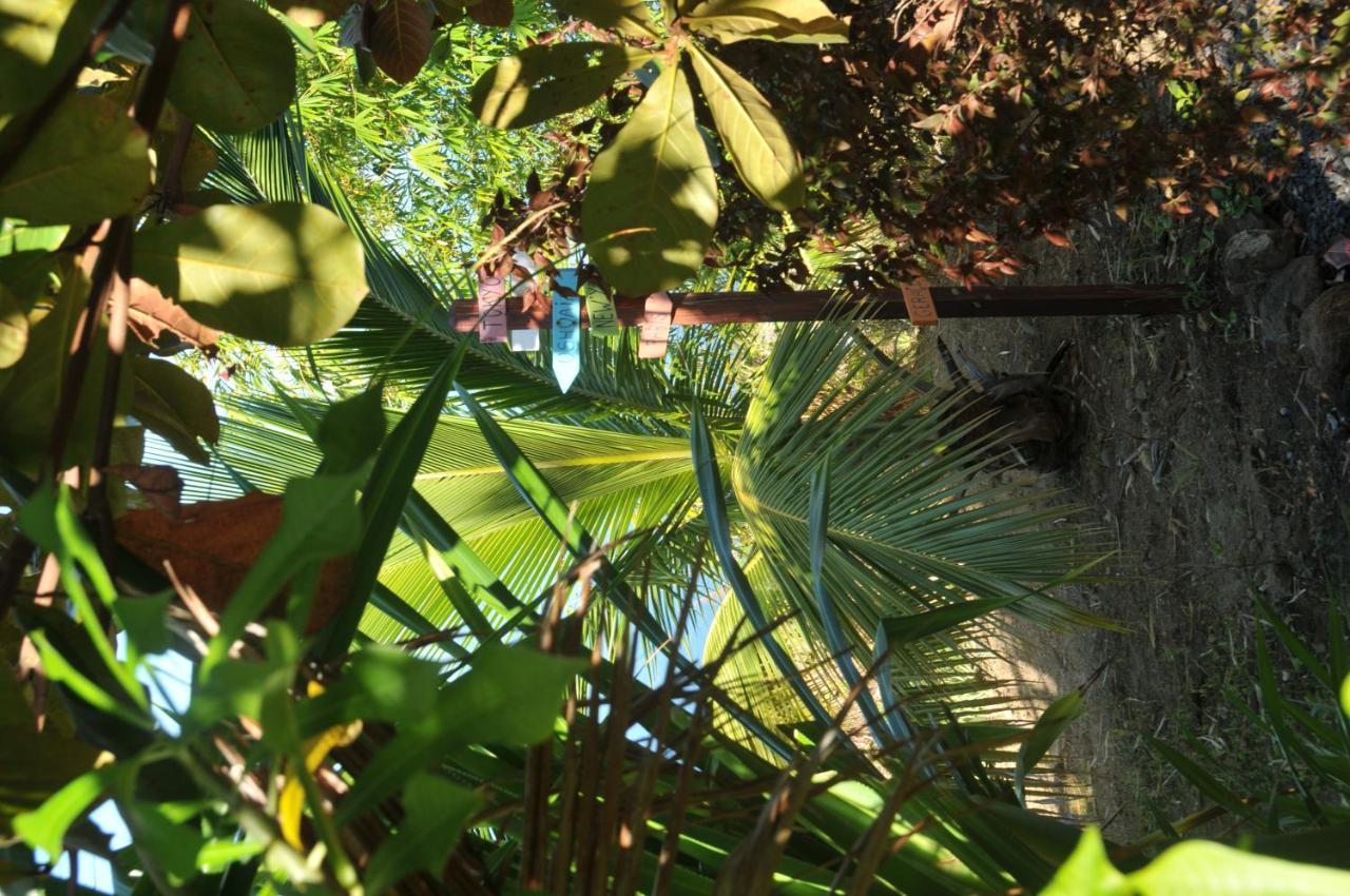 Mango Island Lodges Saint Joseph エクステリア 写真